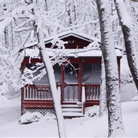 Woodspirit's in a Rare Snow